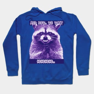 Evil Raccoon Plotting Something Hoodie